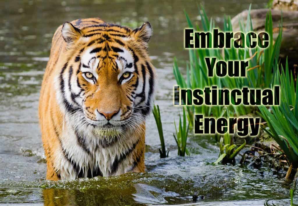 Meet the Selves Your Instinctual Energy or Jungle Animal