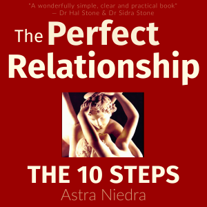 The Perfect Relationship Audiobook